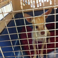 Desert East Animal Hospital Building