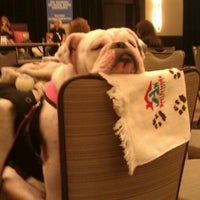 Photo taken at BarkWorld Expo 2011 by Chad E. on 10/1/2011