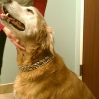 Fairway Animal Hospital - Veterinarian in Fairway Fairway Animal Hospital - Veterinarian in Fairway