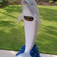 Photo taken at &quot;Luckie&quot; Dolphins On Parade by Chad E. on 8/11/2011