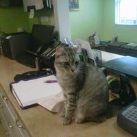 รูปภาพถ่ายที่ All Animal Clinic โดย Lyndsey V. เมื่อ 8/22/2011