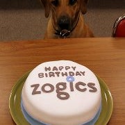 Photo taken at Zogics by Paul L. on 8/19/2012