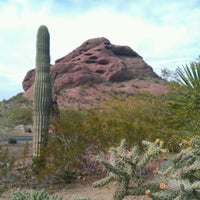 Das Foto wurde bei Desert Botanical Garden von Travis F. am 1/22/2012 aufgenommen