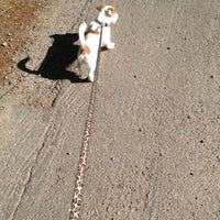 Photo taken at Lapinlahden puistikon koira-aitaus by Kiira R. on 6/4/2012