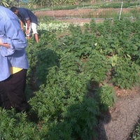Photo taken at แปลงเกษตร(คณะเทคโนโลยีการเกษตร) by Alicenumnim T. on 2/1/2012