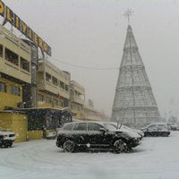 1/28/2011 tarihinde Stefano P.ziyaretçi tarafından OLIVIERO.IT'de çekilen fotoğraf