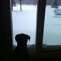 Photo taken at Snowpocalypse by shelby p. on 2/2/2011