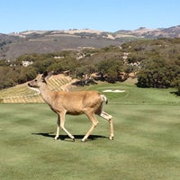 8/1/2012 tarihinde Ware S.ziyaretçi tarafından Carmel Valley Ranch'de çekilen fotoğraf