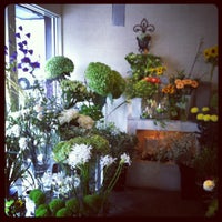 Kusa 小樽市 北海道