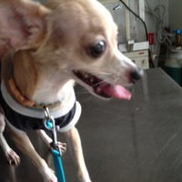 Photo taken at The Vet+ by Kantapon P. on 3/14/2012