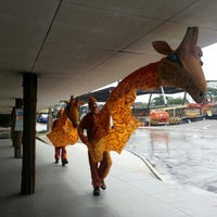 Photo taken at Bus Stop 48131 (Singapore Zoo/Night Safari) by Chong Lei on 6/5/2012
