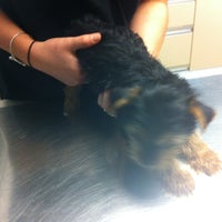 Photo taken at Howard Beach Animal Clinic PC by Charles W. on 5/6/2012