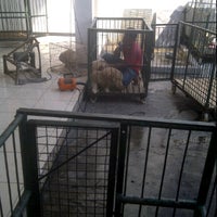 Goovie Pet Shop & Grooming Salon - Jemur Wonosari - Surabaya, Jawa Timur