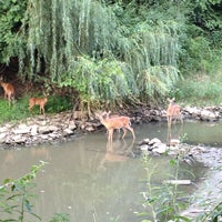 Photo taken at Ohio Erie Canal Towpath by Don M. on 8/3/2012