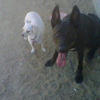 Photo taken at Downtown LA Arts District Dog Park by Shannon O. on 7/9/2012