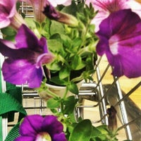 Photo taken at Scotsdales Garden Centre by Jules A. on 6/27/2012