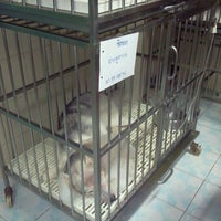 Photo taken at โรงพยาบาลสัตว์ธวัชชัย by koi b. on 8/28/2011
