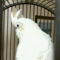 10/16/2011 tarihinde Chris M.ziyaretçi tarafından Flanders Veterinary Clinic'de çekilen fotoğraf