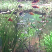 Photo taken at Albany Aquarium by Gabriella S. on 4/21/2012