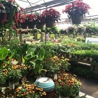 Pike Nurseries East Cobb 2900 Johnson Ferry Rd Photo Taken At Pike Nurseries By Desiree H On 4 26 2017