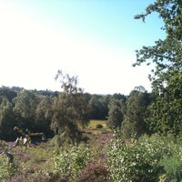 Photo taken at Oxshott Woods by Andrew H. on 8/18/2012