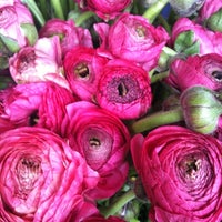 8/3/2011 tarihinde Sarah L.ziyaretçi tarafından Rubia Flower Market'de çekilen fotoğraf