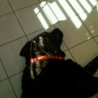 northridge veterinary