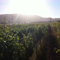 Photo taken at Valerie&amp;#39;s Vineyard by Mike C. on 7/3/2011
