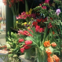 2/27/2011にLaura D.がAnna Held Florist &amp;amp; Fountain Cafeで撮った写真
