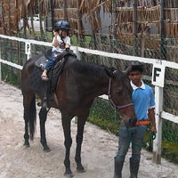 Taiping equine park
