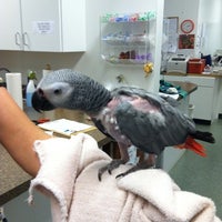 Foto scattata a Animal &amp;amp; Avian Medical Center da Lauren K. il 8/25/2011