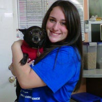 11/26/2011 tarihinde Salena M.ziyaretçi tarafından Little Shelter Animal Rescue &amp;amp; Adoption Center'de çekilen fotoğraf