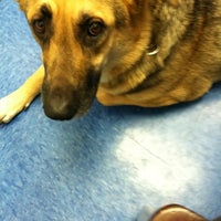 Photo taken at Caring Hands Animal Hospital by Tina Z. on 4/27/2012
