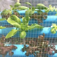 Photo taken at My Hydroponics by Apple B. on 1/8/2011