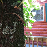 Cedar Rock Cabins 1 Tip
