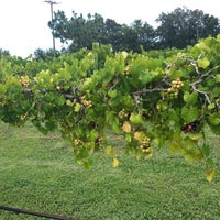 รูปภาพถ่ายที่ Rosa Fiorelli Winery โดย Vannesa P. เมื่อ 7/14/2012