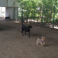 Photo taken at Jackson Heights Canine Recreation and Exercise Wonderland by Kathy P. on 6/7/2012