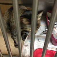 Photo taken at The Animal Clinic by Daphne T. on 3/1/2012