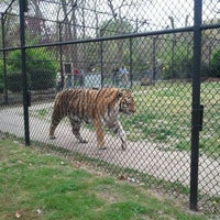Foto diambil di Cape May County Zoo Society oleh Joe P. pada 4/20/2012