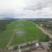 天王グリーンランド Park 天王グリーンランド Park
