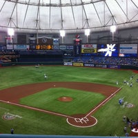 Tropicana Field 225個のtips