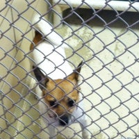 spca montgomery county