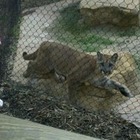 Photo taken at Shasta&amp;#39;s Den - Houston Zoo by Janna W. on 5/13/2012