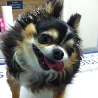 Photo taken at Oak Forest Veterinary Hospital by Brandon B. on 2/22/2012