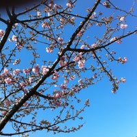 Photo taken at 豊住公園 by でこぼこ on 3/13/2012