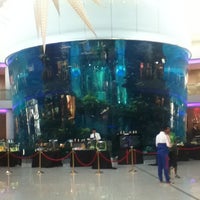 Morocco Mall Shopping Mall In Casablanca