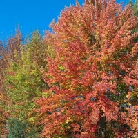 Photo taken at Chippewa Nature Center by Tracey D. on 10/9/2011