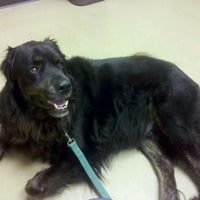 Photo taken at Nashville Veterinary Specialists by Chip P. on 11/30/2011