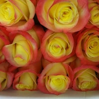 7/24/2011にVincent M.がHarlem Florist Loftで撮った写真