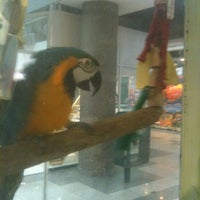 Photo taken at Birds Pet Shop by Anderson T. on 12/28/2011